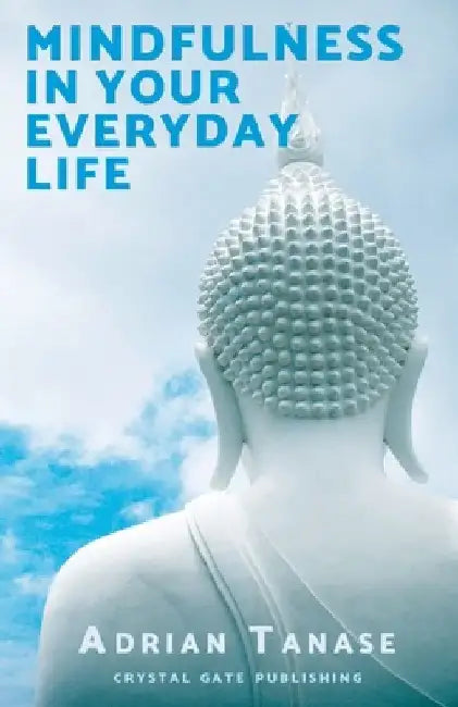 Mindfulness in Your Everyday Life by Adrian Tanase