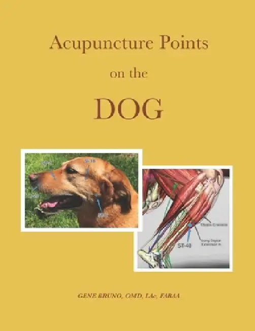 Acupuncture Points on the Dog by Gene C. Bruno