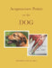 Acupuncture Points on the Dog by Gene C. Bruno