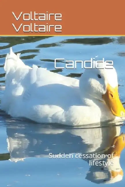 Candide: Sudden cessation of lifestyle by Voltaire