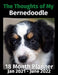 The Thoughts of My Bernedoodle: 18 Month Planner Jan 2021-June 2022 by Brightview Journals