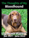 The Thoughts of My Bloodhound: 18 Month Planner Jan 2021-June 2022 by Brightview Journals