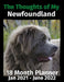 The Thoughts of My Newfoundland: 18 Month Planner Jan 2021-June 2022 by Brightview Journals