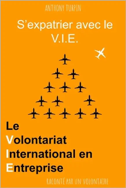 S'expatrier avec le V.I.E.: Le Volontariat International en Entreprise raconté par un volontaire by Turpin, Anthony
