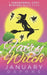Fairy Witch: A Paranormal Cozy Mystery by January Daphne