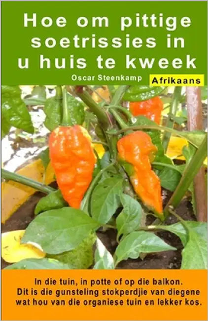 Hoe om pittige soetrissies in u huis te kweek. In die tuin, in potte of op die balkon: Dit is die gunsteling stokperdjie van diegene wat hou van die o by Steenkamp, Oscar