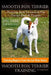 Smooth Fox Terrier Training Book for Smooth Fox Terrier Dogs & Puppies By D!G THIS DOG Training, Training Begins from the Car Ride Home, Smooth Fox Te by Doug K. Naiyn