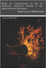 Étude du comportement au feu de matériaux composites destinés à des applications aéronautiques: Expériences et Modélisations by Grange, Nathan