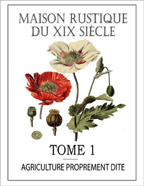 Maison Rustique Du XIX Siècle - Tome 1: Agriculture Proprement Dite: Encyclopédie d'Agriculture Pratique by Bailly, Charles