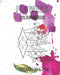 Flowers Colouring Book by Peter Caton