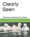 Cleary Seen by Kerri Feister
