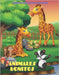 ANIMALES BONITOS - Libro De Colorear Para Niños: Animales Marinos, Animales de Granja, Animales de la Selva, Animales del Bosque Y Animales del Circo by Rivas, Rita