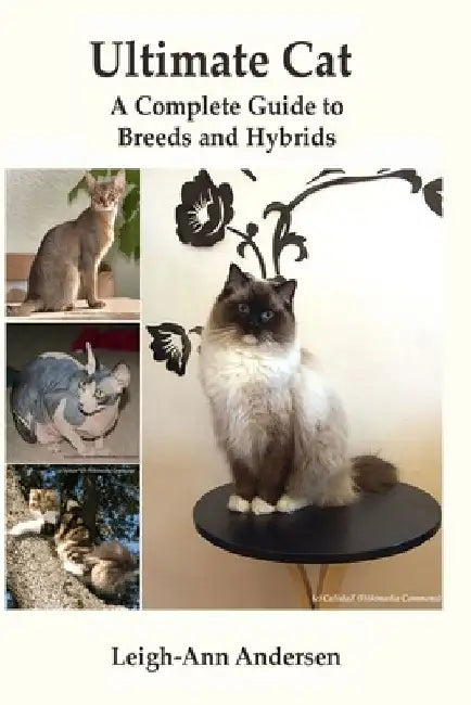 Ultimate Cat: A Complete Guide to Breeds and Hybrids by Leigh-Ann Andersen