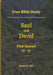True Bible Study - Saul and David First Samuel 16-31 by Maura K. Hill