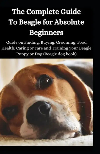 Comp Gt Beagle For Absolute Be by Ben Mark