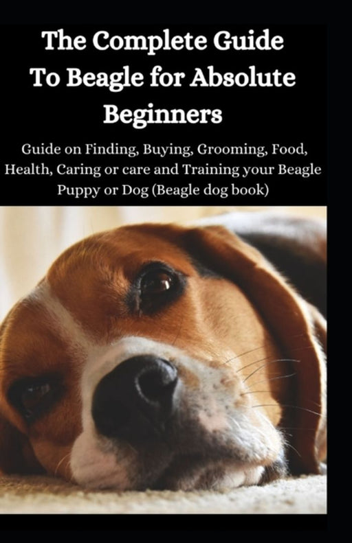 Comp Gt Beagle For Absolute Be by Ben Mark