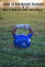 Guide To Bodyweight Training: Ways To Work Out Every Single Muscle: Workout Book by Claudie Figgins