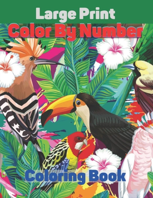 Large Print Color By Number Coloring Book: Large Print Birds, Flowers, Animals and Pretty Patterns( by Rafitul