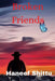 Broken Friends by Haneef Shittu