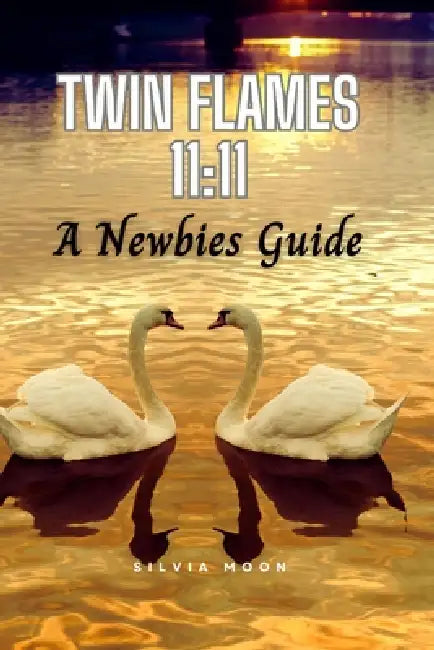 Questions Twin Flame Newbies Ask: Are You New To The Twin Flame Experience? by Silvia Moon