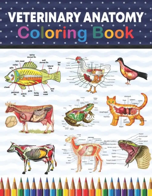 Veterinary Anatomy Coloring Book: Incredibly Detailed Self-Test Veterinary Anatomy Coloring Book for Animal Anatomy Students - Veterinary Anatomy self by Sreijeylone Publication