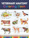 Veterinary Anatomy Coloring Book: Incredibly Detailed Self-Test Veterinary Anatomy Coloring Book for Animal Anatomy Students - Veterinary Anatomy self by Sreijeylone Publication