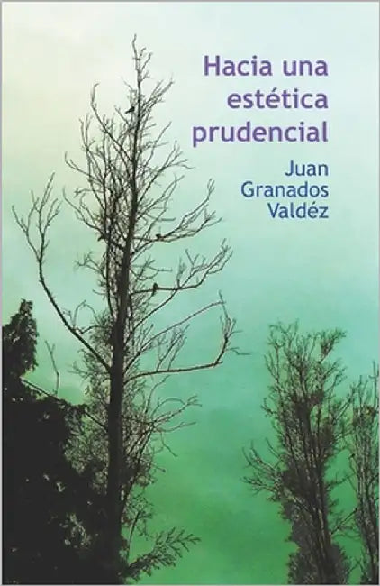 Hacia una estética prudencial by Granados Valdéz, Juan