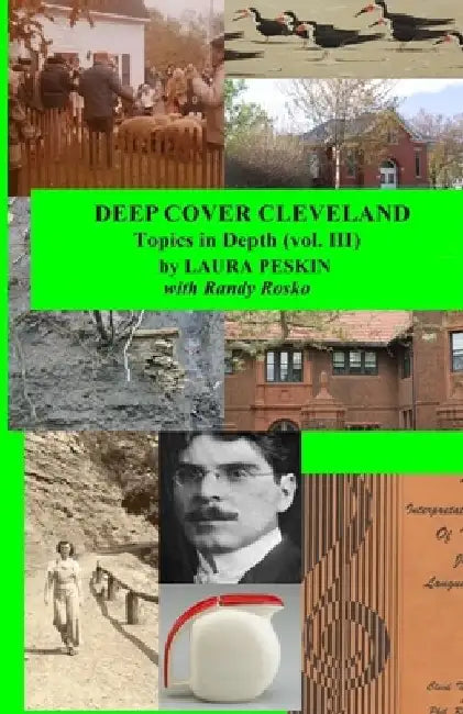 Deep Cover Cleveland: Topics in Depth (vol. III) by Randy J. Rosko