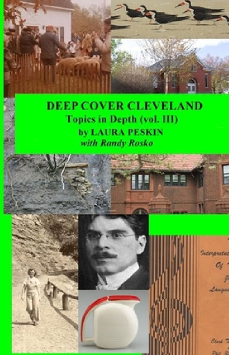 Deep Cover Cleveland: Topics in Depth (vol. III) by Randy J. Rosko