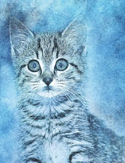 Cat lovers Sketch Book: with 20 cat coloring pages to color, paint, doodle, and sketch . for all cat lovers, 8.5 x 11 by Max Green