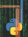 Understanding Python Programming Language: Programming made easy by Kelvin Tanyaradzwa, II Saungweme