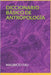 Diccionario Básico de Antropología by Fau, Mauricio