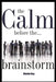 The Calm Before the Brainstorm by Stevie Ray