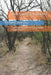 Your Eyes Or Your Life: The True Story Of The Central Park Jogger Rapist by Richard Siracusa Esq