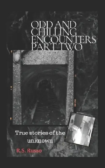 Odd and Chilling Encounters Part Two: True stories of the unknown by R. S. Russo