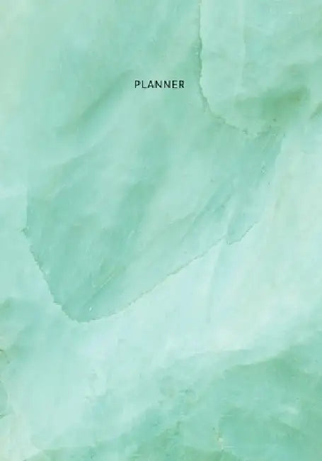 Planner: Start Anytime Undated 52 Week Planner For Efficiency & Productivity, Organizer for Goal-setting, Task Management, Budg by Big Fish Planners