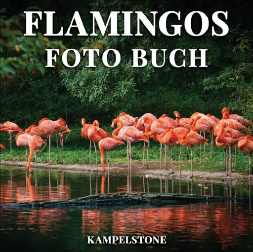 Flamingos Foto Buch: 100 schone Bilder dieser langbeinigen rosa Vogel - perfektes Geschenk oder Kaffeetischdekor by Marnie Fogg