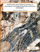 Publications of the Midwest Institute of Geosciences and Engineering Past and Present: Volume 1 by Steven Donald John Baumann