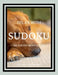 Relax with SUDOKU - 100 SUDOKU 9X9 Puzzles by Augusta Publishers