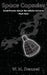 Space Capsules: Small Poems About the Infinite Universe Part 1 by Amanda Montoni