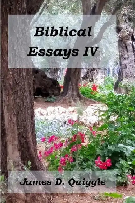 Biblical Essays IV by James D. Quiggle