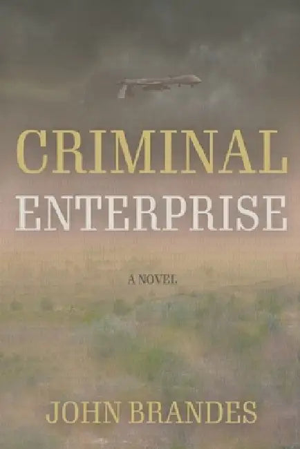 Criminal Enterprise by John Brandes
