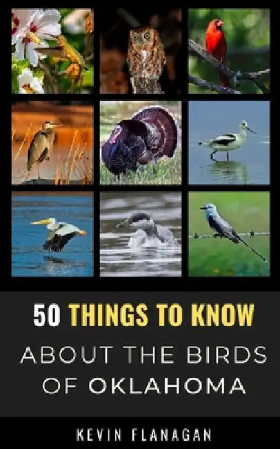 50 Things to Know About Birds in Oklahoma: Birding in the Oklahoma by 50 Things To Know