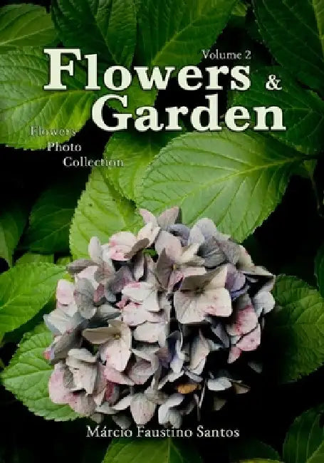 Flowers and Garden: Flowers Photo Collection - Vol. 2 by Márcio Faustino Santos