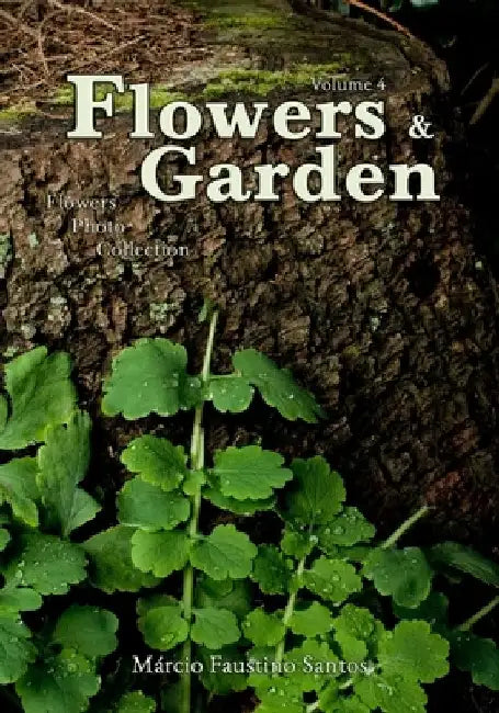 Flowers and Garden: Flowers Photo Collection - Vol. 4 by Márcio Faustino Santos