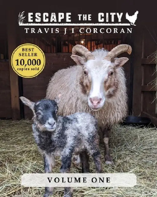 Escape the City volume 1 by Travis J. I. Corcoran