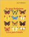 Eu Amo Borboletas: Livro para Colorir by Valladares, Jose