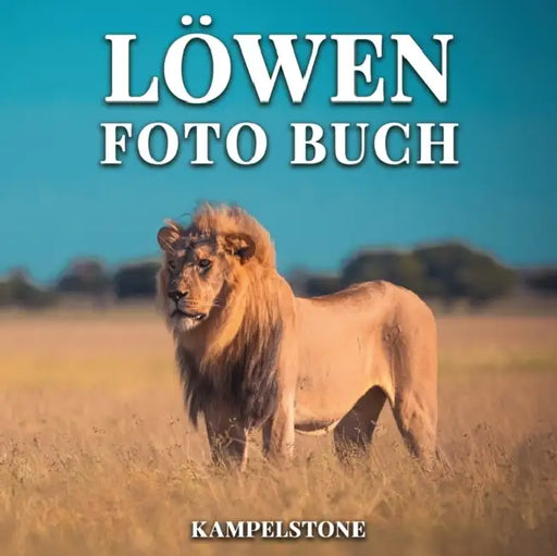 Loewen Foto Buch: 100 wunderschoene Bilder dieser magischen Big Cats in the Wild - Perfektes Geschenk oder Couchtischdekor by Touria; Swan, Desmond Jouilla McKee