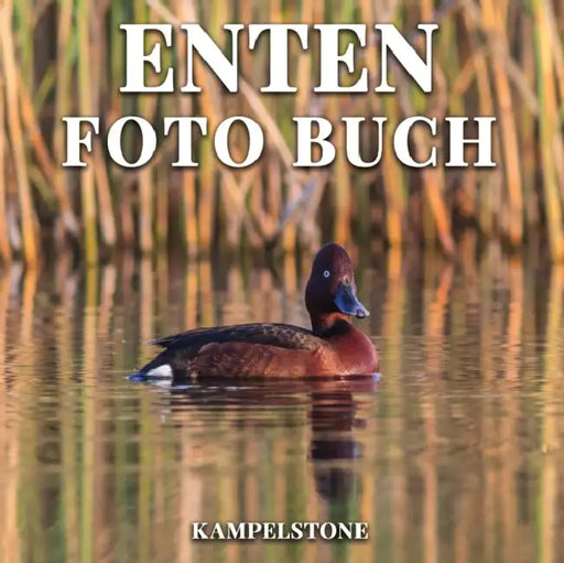 Enten Foto Buch: 100 susse Bilder von Entenkuken und Enten - Perfektes Geschenk- oder Kaffeetischbuch by Philip Dole