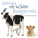 Animals on White Backgrounds, A No Text Picture Book: A Calming Gift for Alzheimer Patients and Senior Citizens Living With Dementia by Lasting Happiness